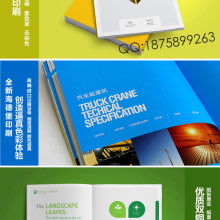 深圳春藝美廣告 設(shè)計與印刷的創(chuàng)意交響，策劃品牌新篇章