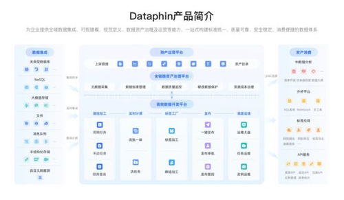 企業(yè)數(shù)據(jù)系統(tǒng)建設(shè) 治理價(jià)值凸顯，2025主流產(chǎn)品與服務(wù)全景展望